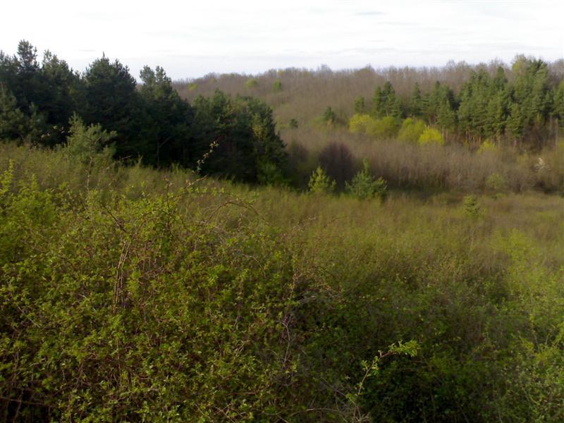 200704091814 .jpg
